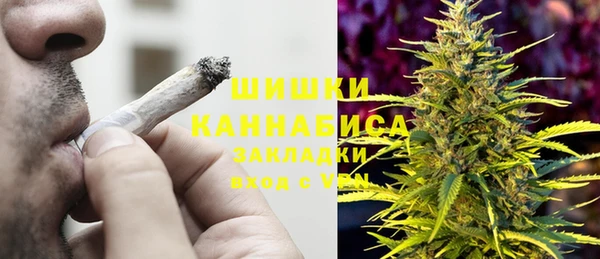 соль ск Кулебаки