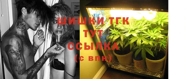соль ск Кулебаки